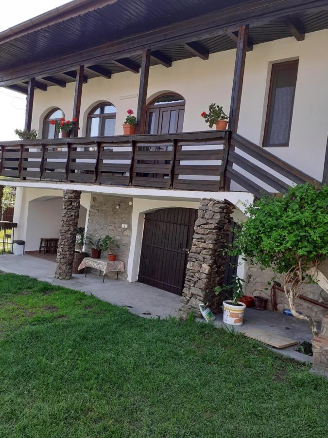 Casa De Vacanta Mirela Novaci-Străini Εξωτερικό φωτογραφία