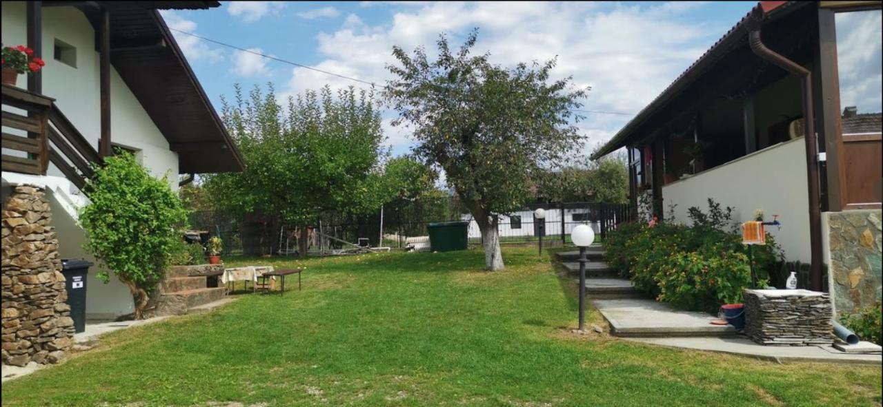 Casa De Vacanta Mirela Novaci-Străini Εξωτερικό φωτογραφία