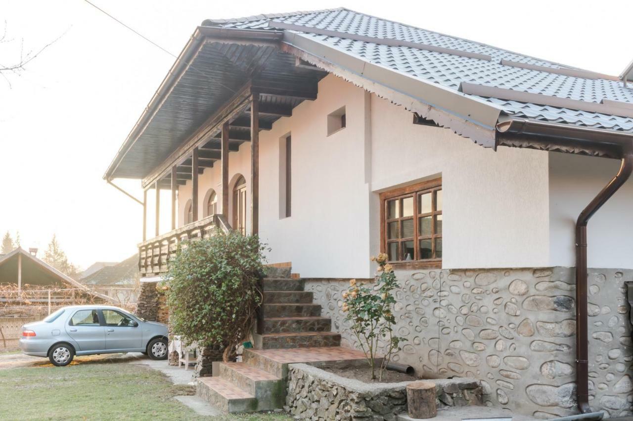 Casa De Vacanta Mirela Novaci-Străini Εξωτερικό φωτογραφία